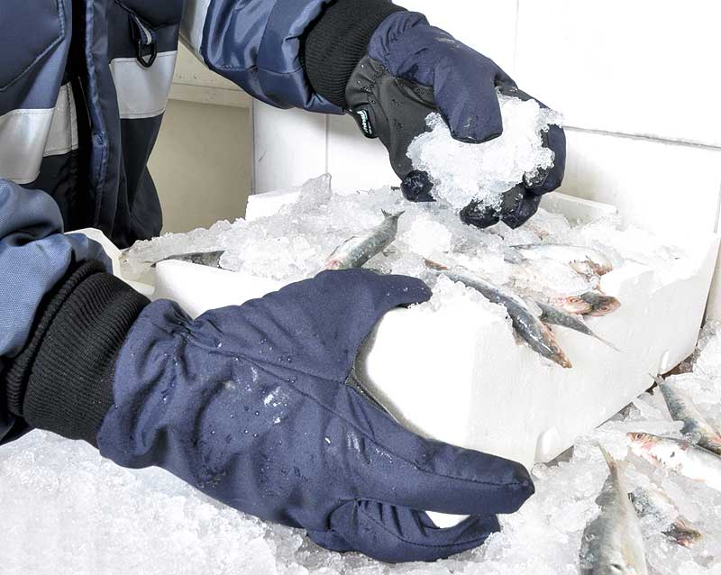 Gants de travail thermiques résistants au froid pour la pêche, résiste à la  basse température, résiste